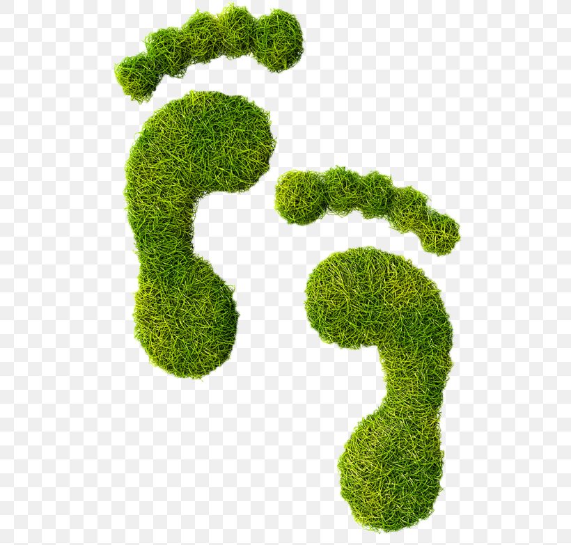 Ecological Footprint Carbon Footprint Ecology Natural Environment, PNG, 749x783px, Ecological Footprint, Carbon Dioxide, Carbon Footprint, Ecology, Environment Download Free