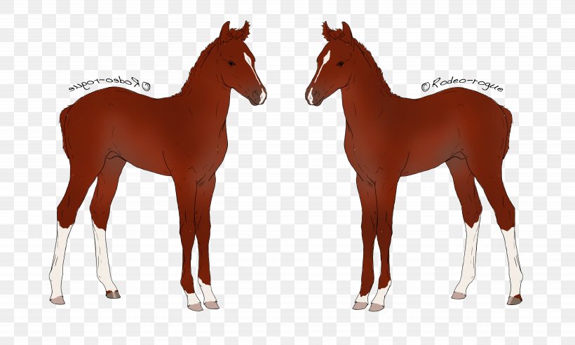 Foal Mustang Mare Stallion Halter, PNG, 5000x3000px, Foal, Animal Figure, Colt, Halter, Horse Download Free
