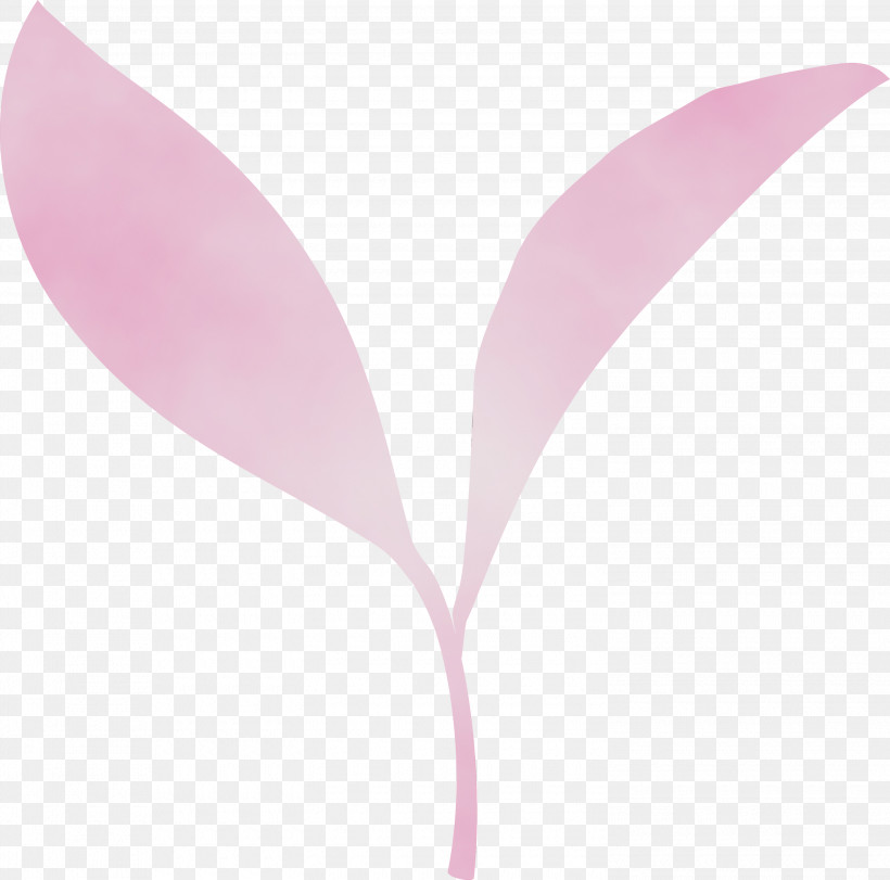 Pink Leaf Violet Plant Magenta, PNG, 3000x2968px, Tea Leaves, Anthurium, Flower, Leaf, Magenta Download Free
