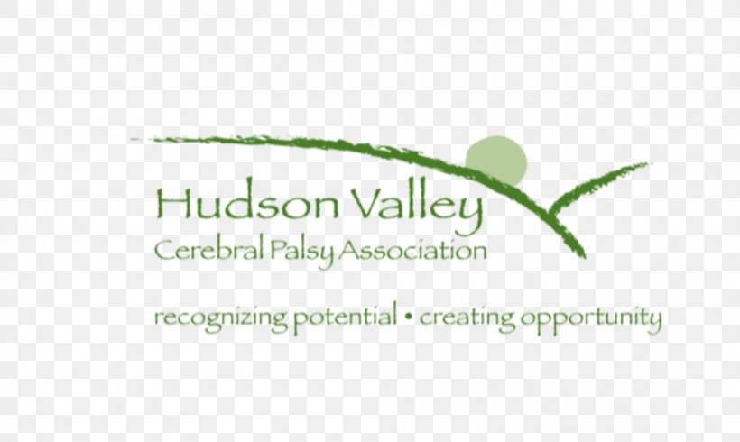 Hudson Valley CPA's Pllc Cerebral Palsy Association Organization Non-profit Organisation, PNG, 1000x598px, Organization, Brand, Cerebral Palsy, Disability, Employment Download Free