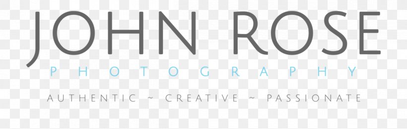 John Rose Photography Limited Photographer Salisbury Wedding, PNG, 1200x382px, Photographer, Blue, Brand, Business, Film Download Free