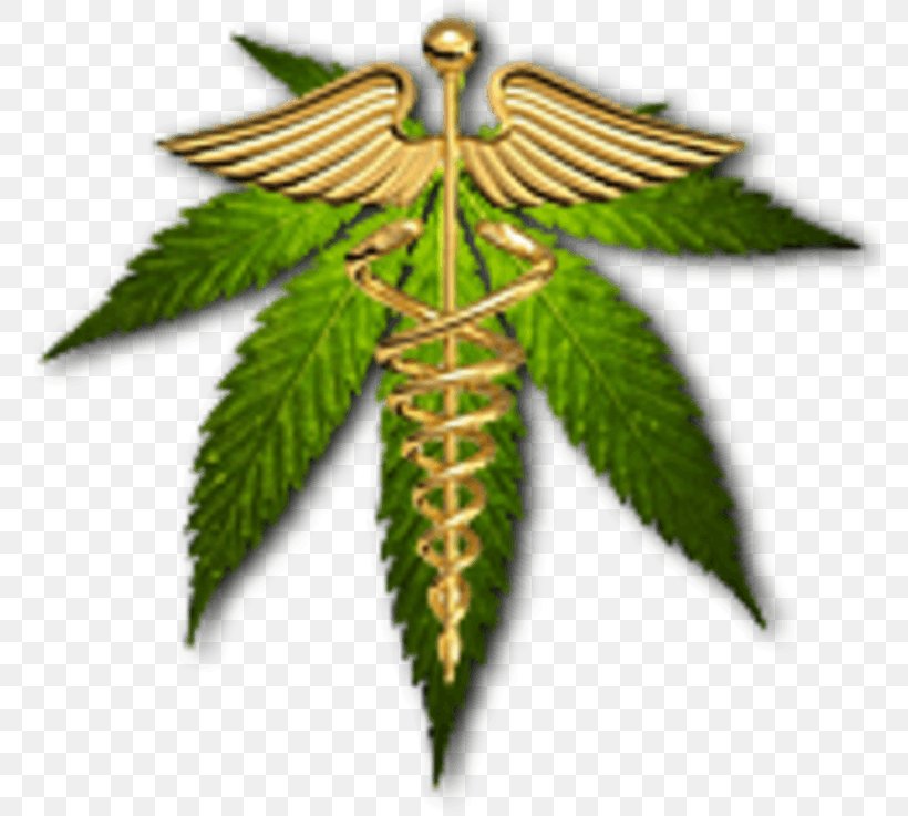 Leaf Cannabis Hemp Tree, PNG, 770x737px, Leaf, Cannabis, Hemp, High Times, Mind Download Free