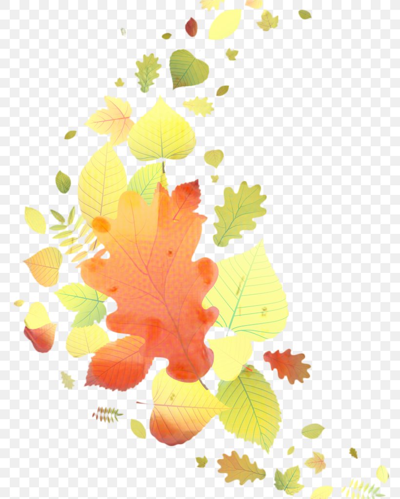 Autumn Leaf Drawing, PNG, 776x1024px, Autumn, Blog, Branch, Computer, Drawing Download Free