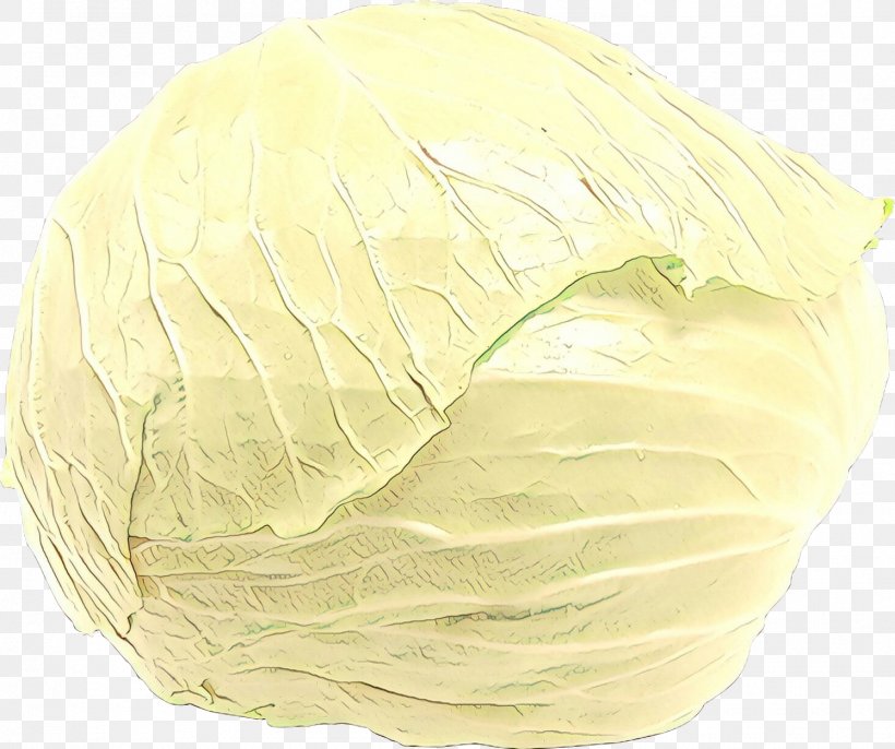 Cabbage Cabbage, PNG, 1495x1251px, Cabbage, Commodity, Feather, Wild Cabbage, Yellow Download Free