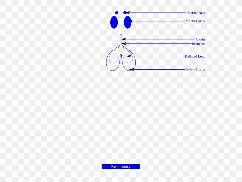 Line Point Angle, PNG, 577x617px, Point, Area, Blue, Diagram, Number Download Free