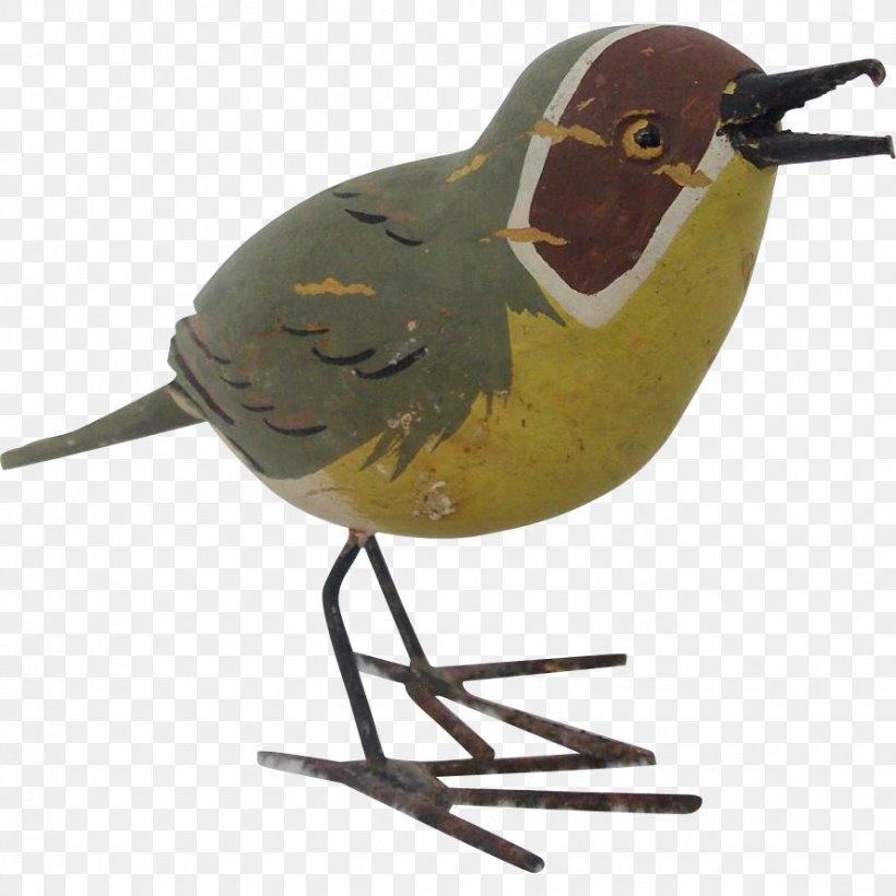 Bird Beak Fauna, PNG, 888x888px, Bird, Beak, Fauna Download Free