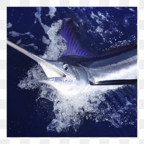 Swordfish Marlin Fishing Harpoon, PNG, 1000x455px, Swordfish