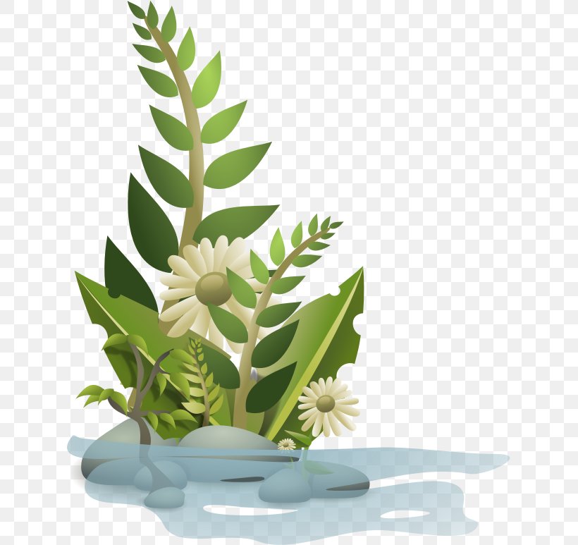 Plant Clip Art, PNG, 629x773px, Plant, Aquatic Plants, Floral Design, Flower, Flowering Plant Download Free