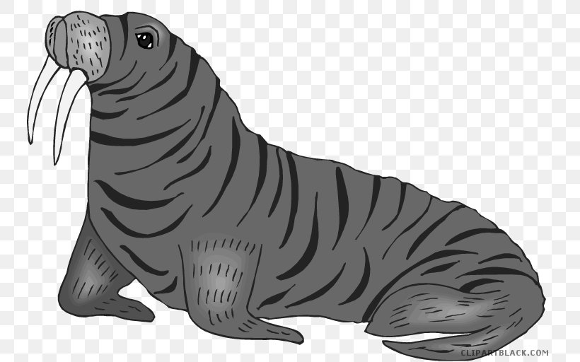Walrus Tiger Sea Lion Clip Art, PNG, 750x512px, Walrus, Animal, Animal Figure, Big Cats, Black And White Download Free