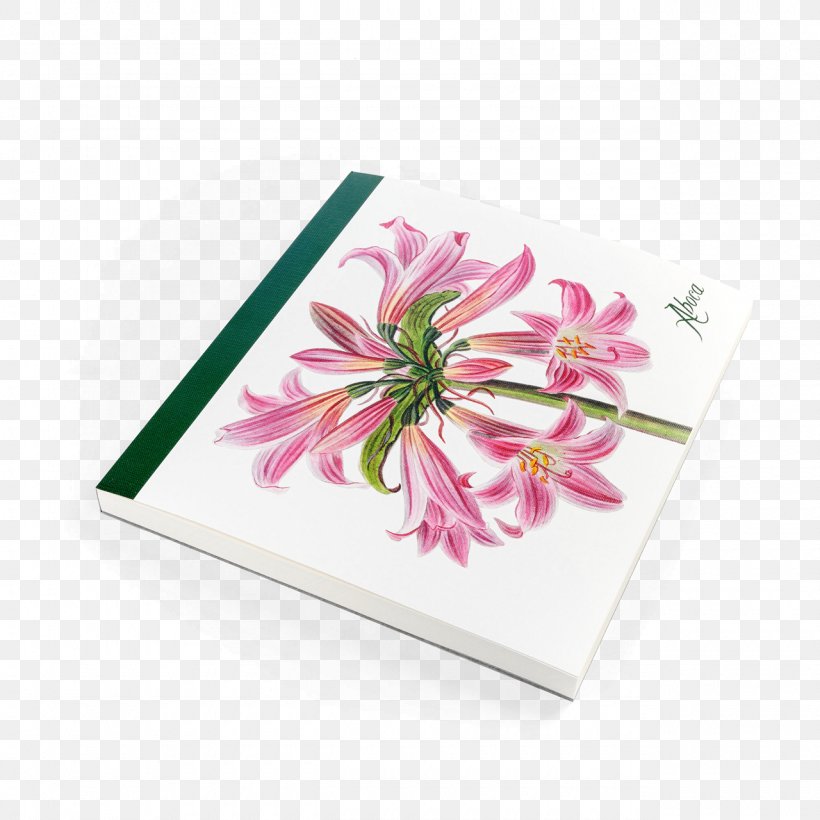 Aboca Museum Jersey Lily Lilium Flower Petal, PNG, 1280x1280px, Aboca Museum, Belladonna, Botany, Desk, Flower Download Free