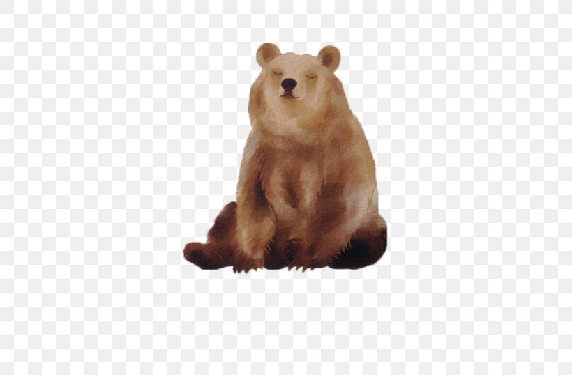 Baby Polar Bears Brown Bear American Black Bear, PNG, 570x538px, Bear, American Black Bear, Baby Polar Bears, Beaver, Brown Bear Download Free