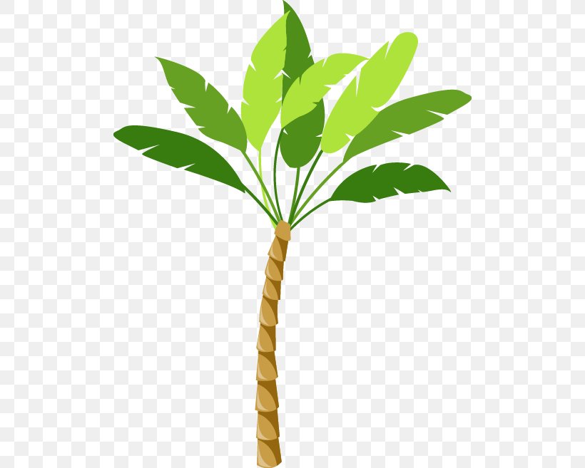 Arecaceae Tree Clip Art, PNG, 502x657px, Arecaceae, Arecales, Branch, Coconut, Flowerpot Download Free