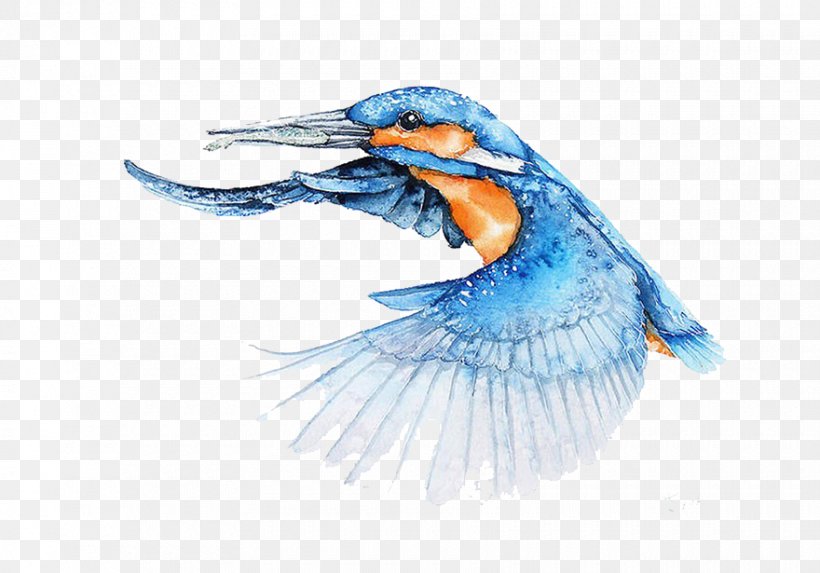 Bird Watercolor Painting Architect Illustrator, PNG, 880x615px, Bird, Architect, Architecture, Art, Beak Download Free