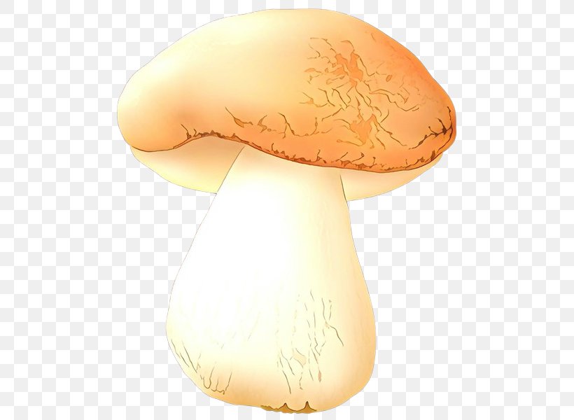 Mushroom Agaricus Agaricaceae Agaricomycetes Champignon Mushroom, PNG, 507x600px, Cartoon, Agaricaceae, Agaricomycetes, Agaricus, Champignon Mushroom Download Free