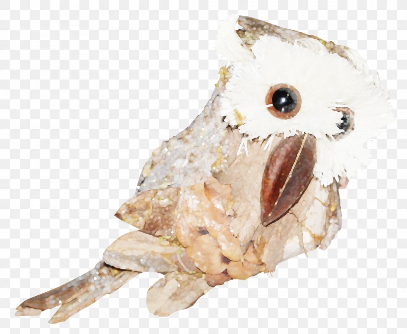 Owl Icon, PNG, 2280x1870px, Owl, Beak, Bird, Bird Of Prey, Cartoon Download Free