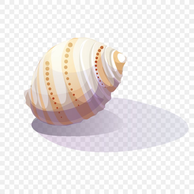 Viviparidae Sea Snail Clip Art, PNG, 1000x1000px, Viviparidae, Bolinus Brandaris, Conchology, Material, Sea Snail Download Free
