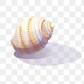 Vector White Yellow Dot Conch - Viviparidae Sea Snail Clip Art PNG