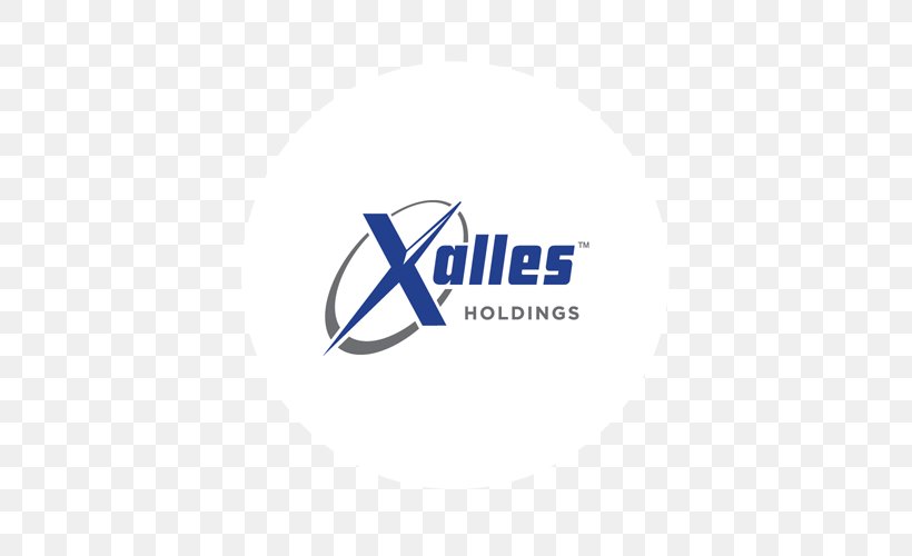 Xalles Holdings Company Business Arrowvista Corporation, PNG, 500x500px, Company, Area, Audit, Blue, Brand Download Free
