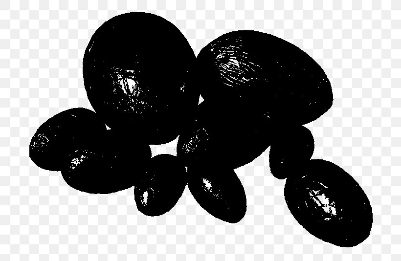 Fruit, PNG, 752x534px, Fruit, Balloon, Black, Blackandwhite, Grape Download Free