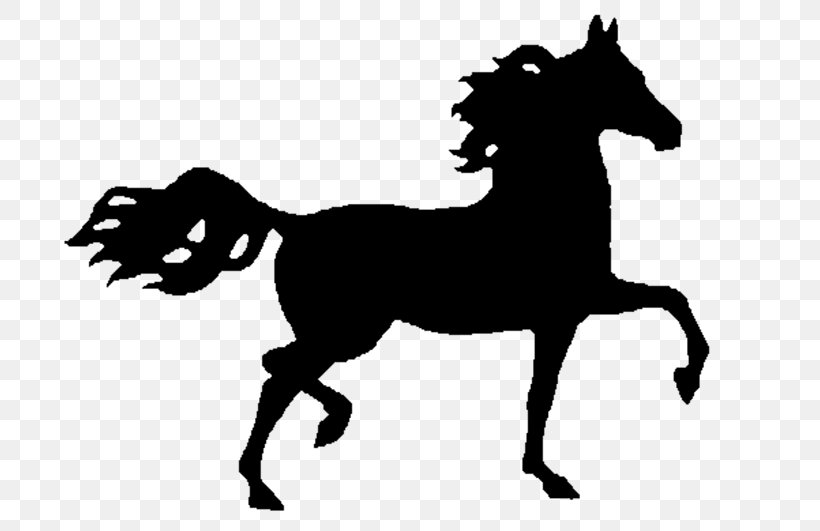Mustang Arabian Horse Nokota Horse Stallion American Paint Horse, PNG, 800x531px, Mustang, American Paint Horse, Arabian Horse, Black, Black And White Download Free