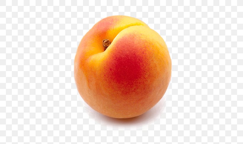 Peach Bellini Juice Schnapps Apricot, PNG, 600x486px, Peach, Apricot, Bellini, Cobbler, Diet Food Download Free
