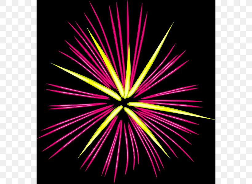 2016 San Pablito Market Fireworks Explosion Clip Art, PNG, 582x599px, Fireworks, Animation, Blog, Cartoon, Diwali Download Free