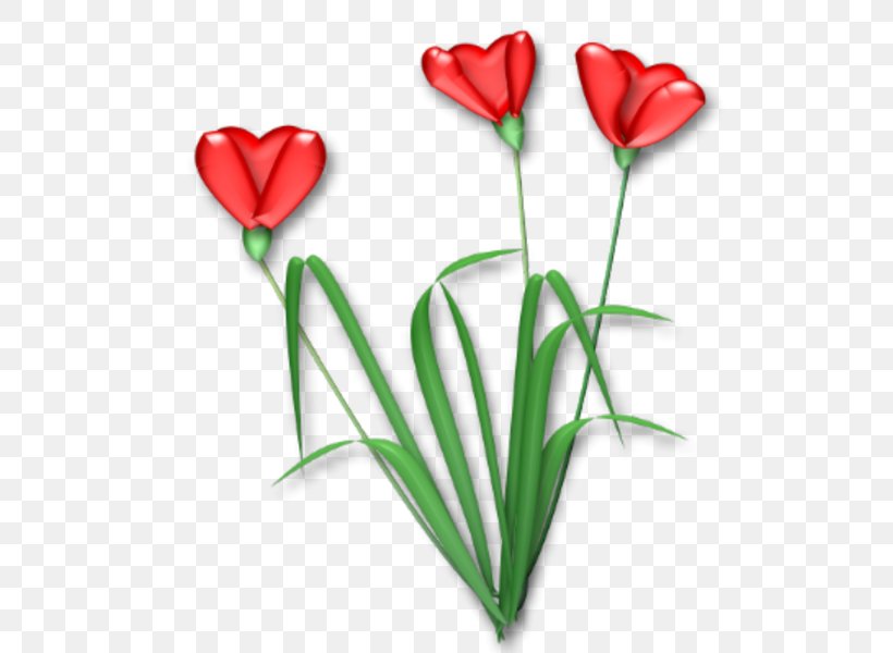 Flowering Plant Cut Flowers Tulip Rosaceae, PNG, 532x600px, Flowering Plant, Cut Flowers, Flora, Flower, Flower Bouquet Download Free