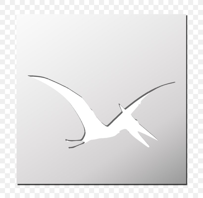 Line Beak, PNG, 800x800px, Beak, Bird, Black And White, Sky, Sky Plc Download Free