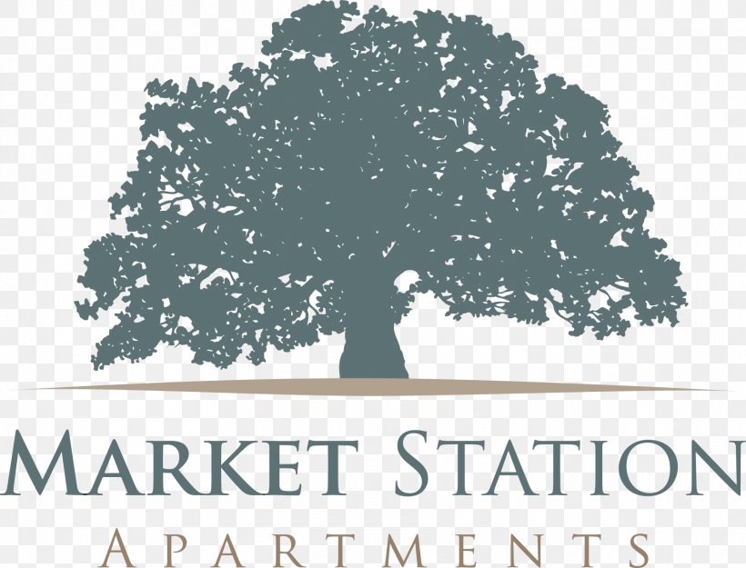 Oakleaf Auto Inc Cayuga Junction House Market Station Apartments Hartford, PNG, 1771x1350px, House, Apartment, Brand, Community, Hartford Download Free