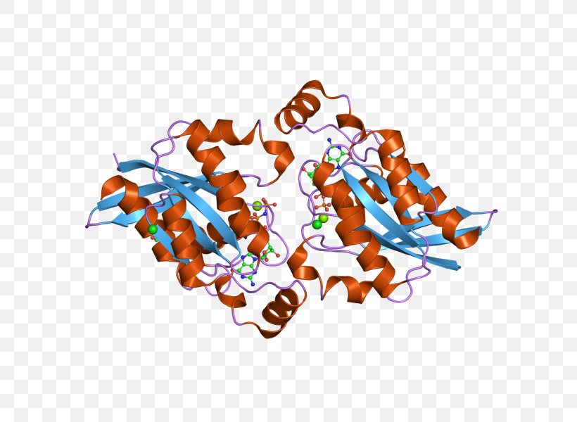 RAC1 Rho Family Of GTPases RAC2 Cdc42, PNG, 800x600px, Rho Family Of Gtpases, Cell, Cell Signaling, G Protein, Gene Download Free