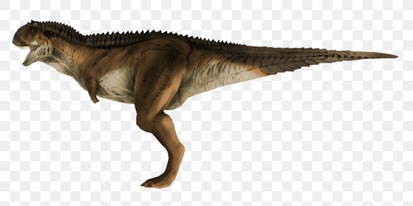 Tyrannosaurus Carnotaurus Kulindadromeus Spinosaurus Pachycephalosaurus, PNG, 1024x511px, Tyrannosaurus, Animal Figure, Apatosaurus, Carnotaurus, Deinonychus Download Free