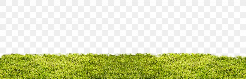 Lawn Vegetation Grassland Ecoregion Land Lot, PNG, 2102x684px, Lawn, Agriculture, Commodity, Crop, Ecoregion Download Free