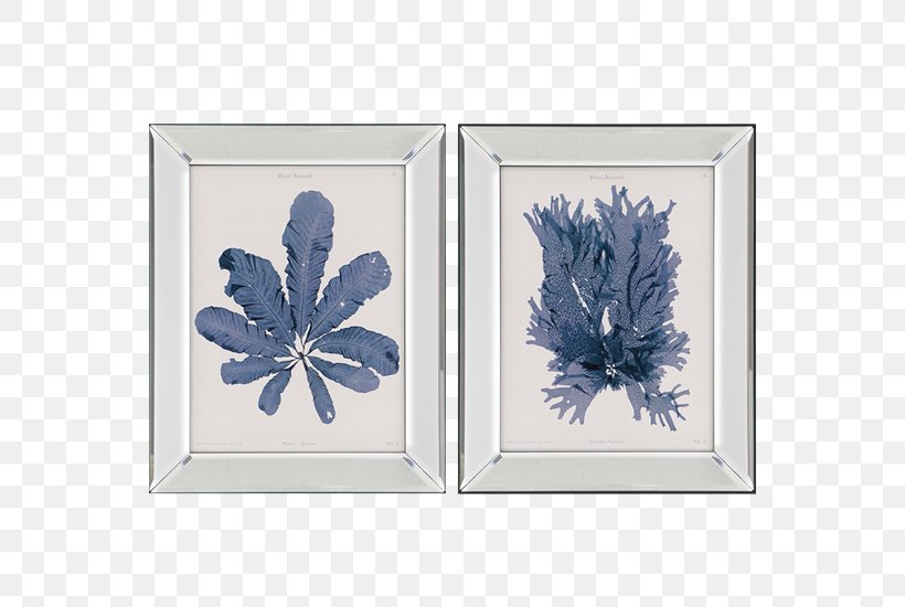 Picture Frames Seaweed Poster Art Wall, PNG, 550x550px, Picture Frames, Algae, Art, Canvas, Cobalt Blue Download Free