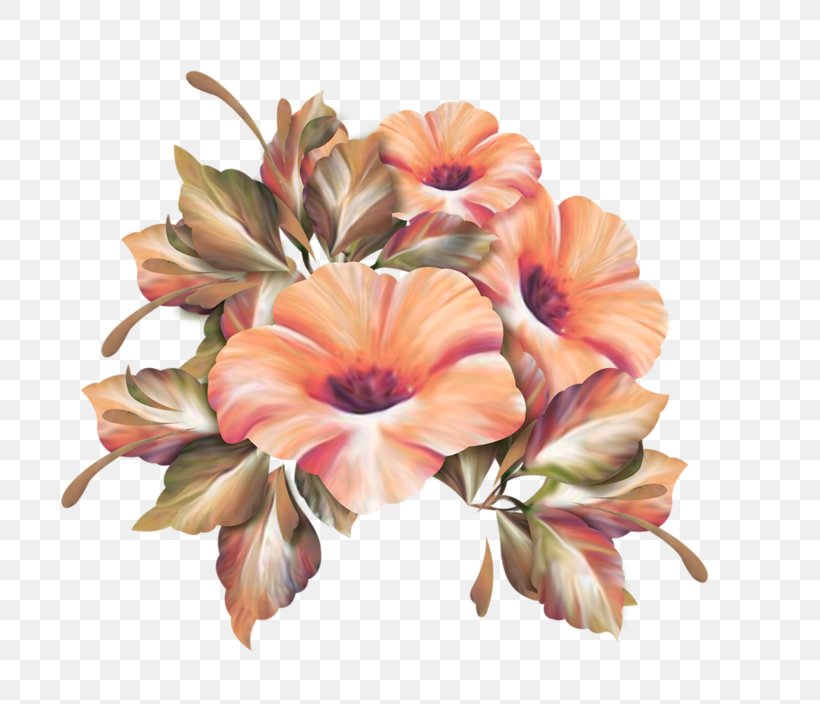 Floral Design Cut Flowers Flower Bouquet, PNG, 800x704px, Floral Design, Cut Flowers, Designer, Floristry, Flower Download Free
