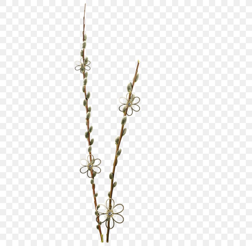 Photography Tree Shrub Clip Art, PNG, 397x800px, Photography, Branch, Digital Image, Flora, Herb Download Free