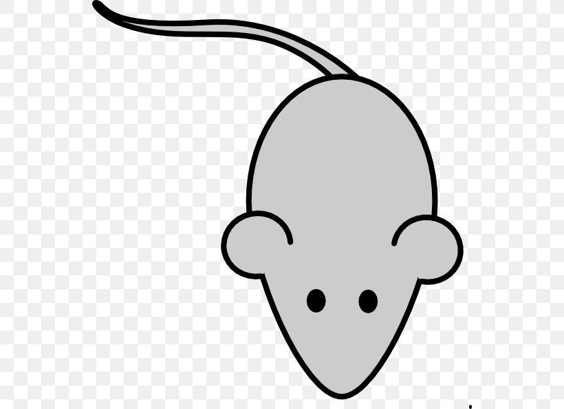 Laboratory Mouse Drawing Clip Art, PNG, 552x594px, Watercolor, Cartoon, Flower, Frame, Heart Download Free
