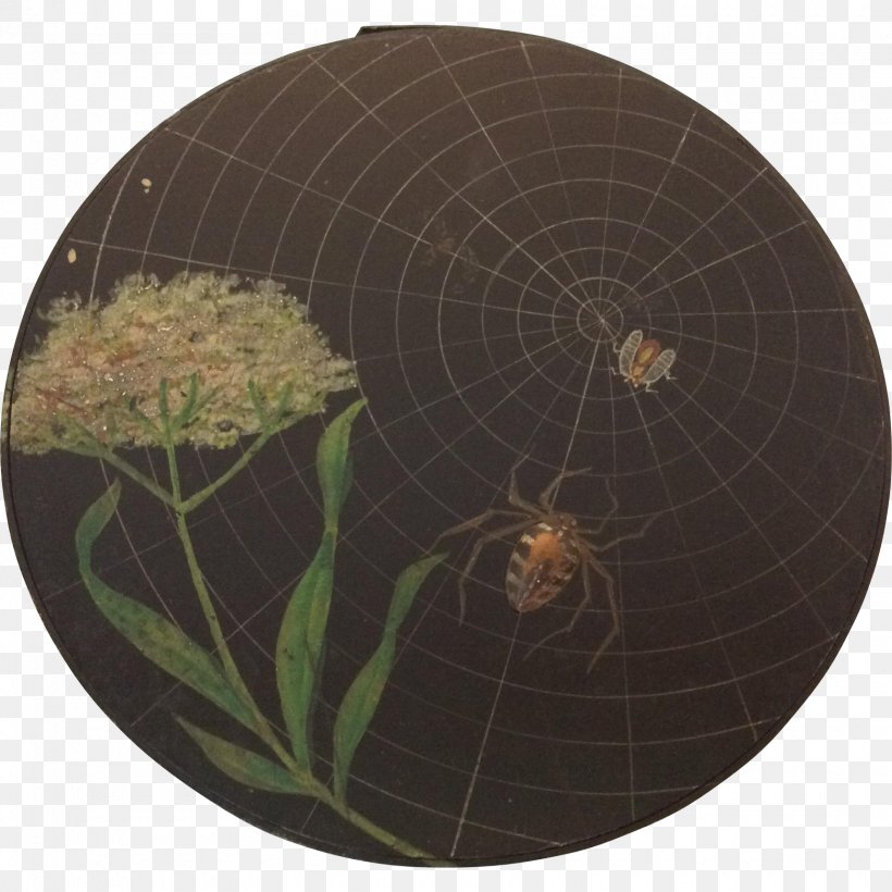 Spider Web Invertebrate Circle, PNG, 1720x1720px, Spider, Invertebrate, Spider Web Download Free