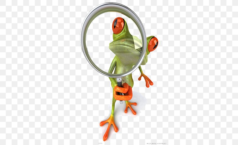 Frog Magnifying Glass Royalty-free Illustration, PNG, 595x500px, Frog, Amphibian, Beak, Business, Decal Download Free