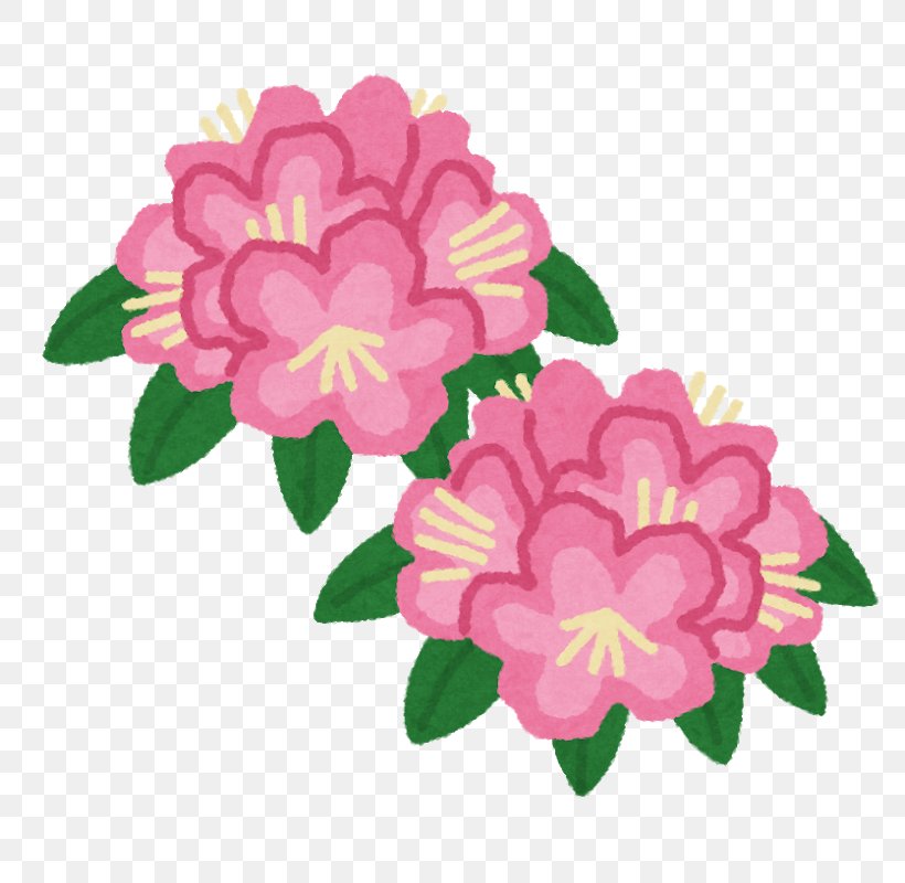 Illustration Vector Graphics Image Design Clip Art, PNG, 800x800px, Drawing, Annual Plant, Cut Flowers, Floral Design, Flower Download Free