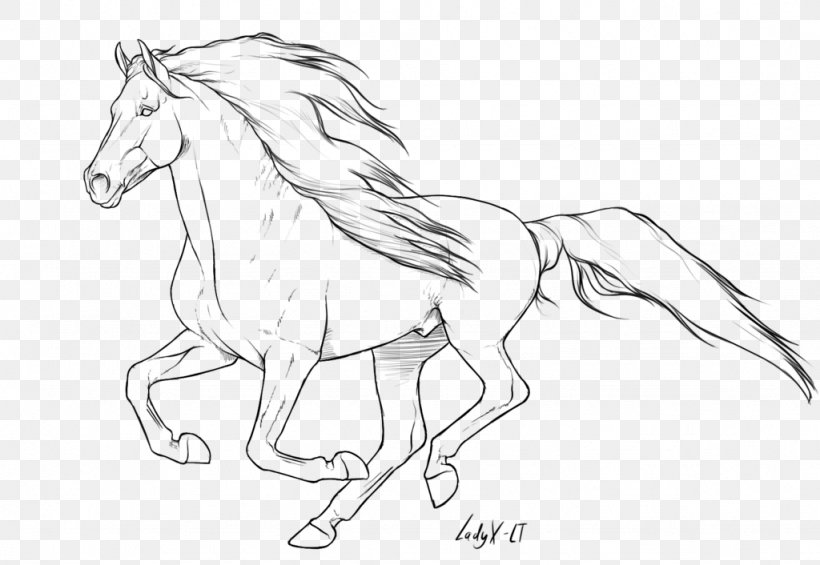 Arabian Horse American Quarter Horse Mane Mustang Pony, PNG, 1024x706px, Arabian Horse, American Quarter Horse, Animal, Animal Figure, Arm Download Free