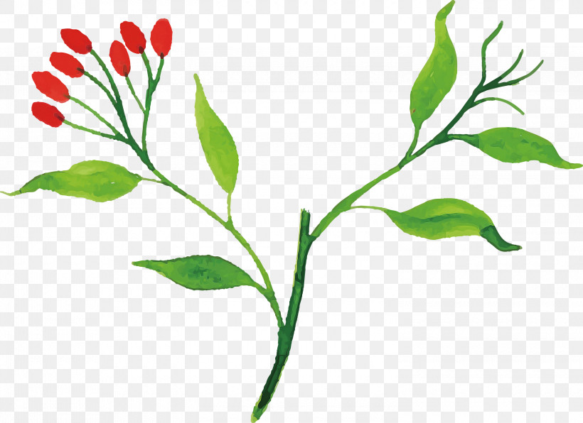 Floral Design, PNG, 3000x2184px, Watercolor Autumn, Biology, Floral Design, Flower, Hemp Download Free