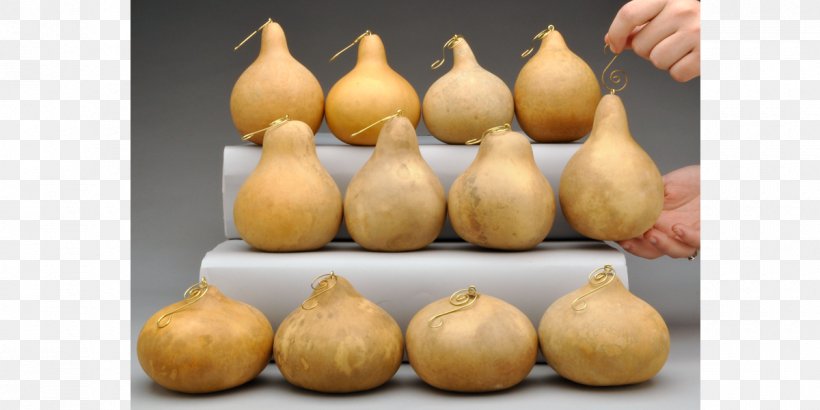 Gourd Art Calabash Shallot Food, PNG, 1200x600px, Gourd, Art, Bottle, Boxedcom, Calabash Download Free