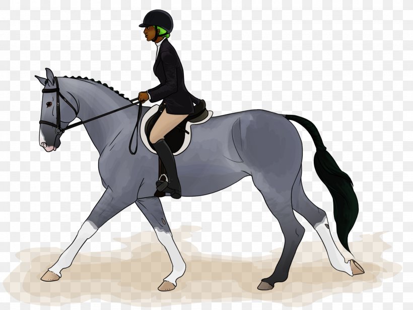 Stallion Dressage Rein Mustang Equestrian, PNG, 2048x1536px, Stallion, Animal Figure, Animal Sports, Animal Training, Bit Download Free