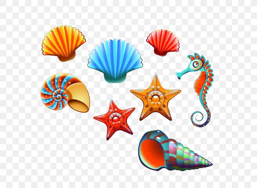Vector Graphics Seashell Stock Photography Clip Art Illustration, PNG, 600x600px, Seashell, Body Jewelry, Drawing, Invertebrate, Mollusc Shell Download Free