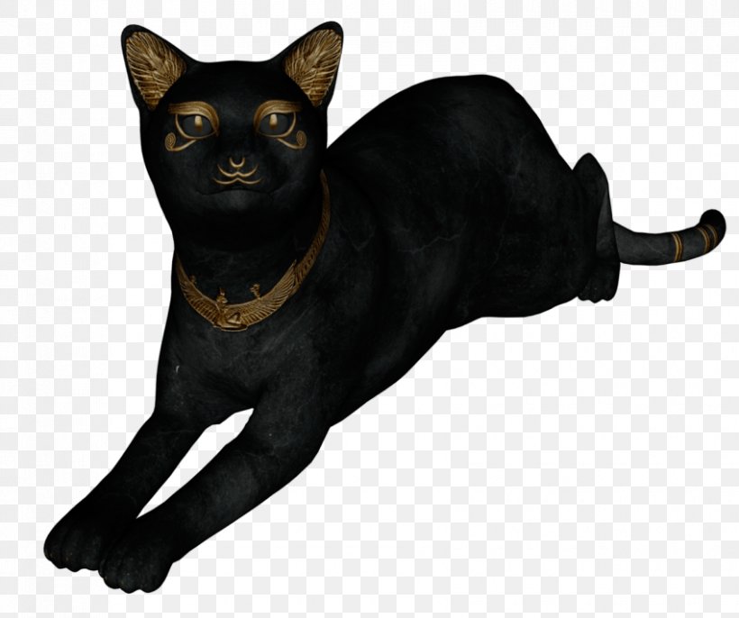 Black Cat Bombay Cat Malayan Cat Havana Brown Egyptian Mau, PNG, 850x712px, Black Cat, Asian, Black, Bombay, Bombay Cat Download Free