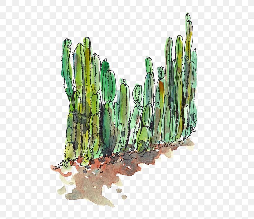 Cactaceae Desert Succulent Plant Cactus Fence, PNG, 564x705px, Cactaceae, Cactus, Cactus Fence, Caryophyllales, Desert Download Free