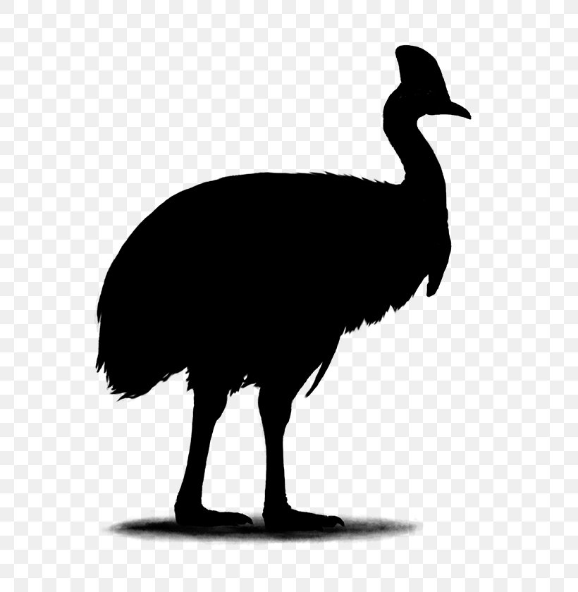 Horse Common Ostrich Trot Animal, PNG, 600x840px, Horse, Animal, Beak, Bird, Black Download Free