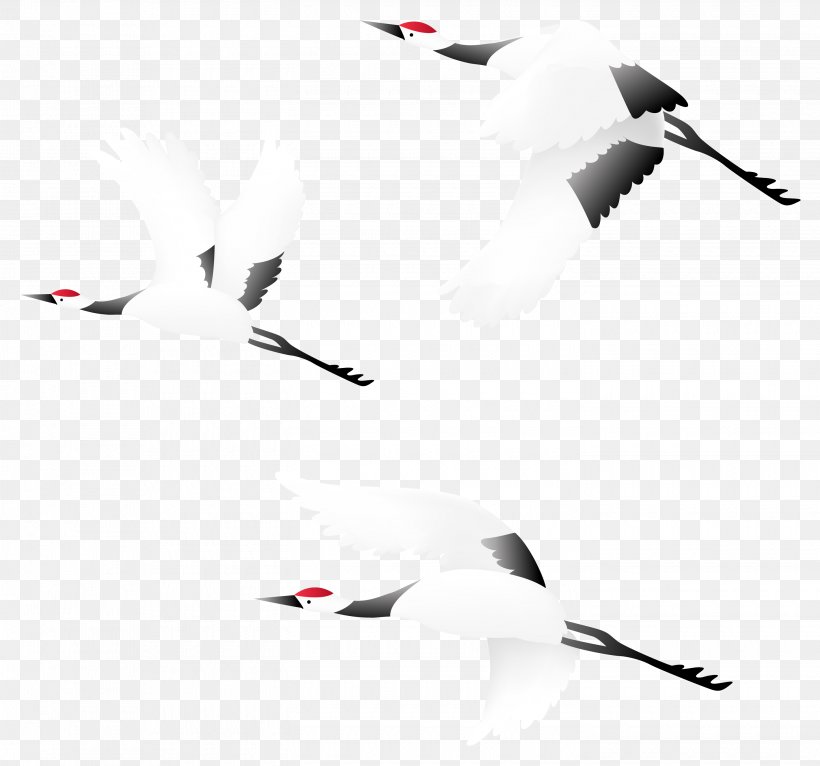 Bird Red-crowned Crane, PNG, 2900x2712px, Bird, Beak, Black, Black And White, Common Crane Download Free