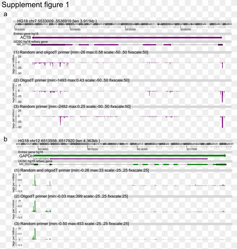 Complementary DNA Five Prime Untranslated Region Cap Analysis Gene Expression CDNA Library DNA Sequencing, PNG, 3333x3508px, Watercolor, Cartoon, Flower, Frame, Heart Download Free