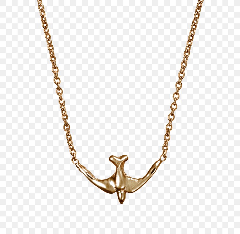 Necklace Charms & Pendants Jewellery Diamond Gold, PNG, 800x800px, Necklace, Body Jewelry, Chain, Charm Bracelet, Charms Pendants Download Free